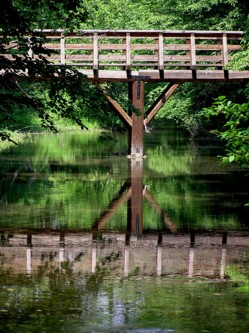 Ponte pedonale nella Fagiana