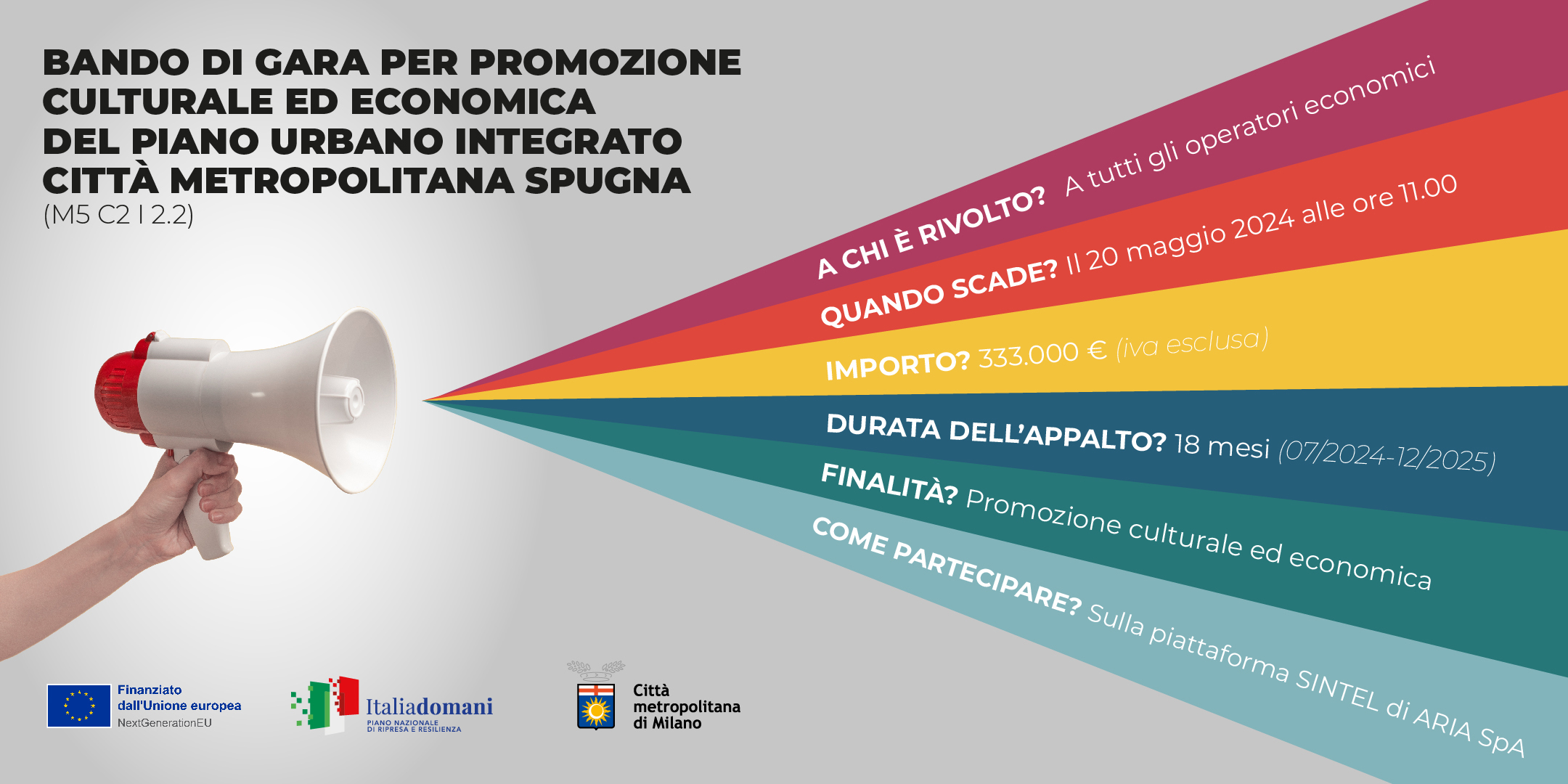 GRAFICA ORIZZONTALE spugna