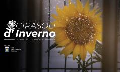 GIRASOLI INVERNO copertina orizzontale