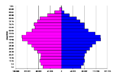 grafico2