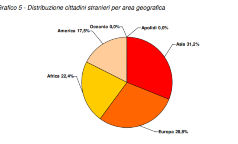 grafico5