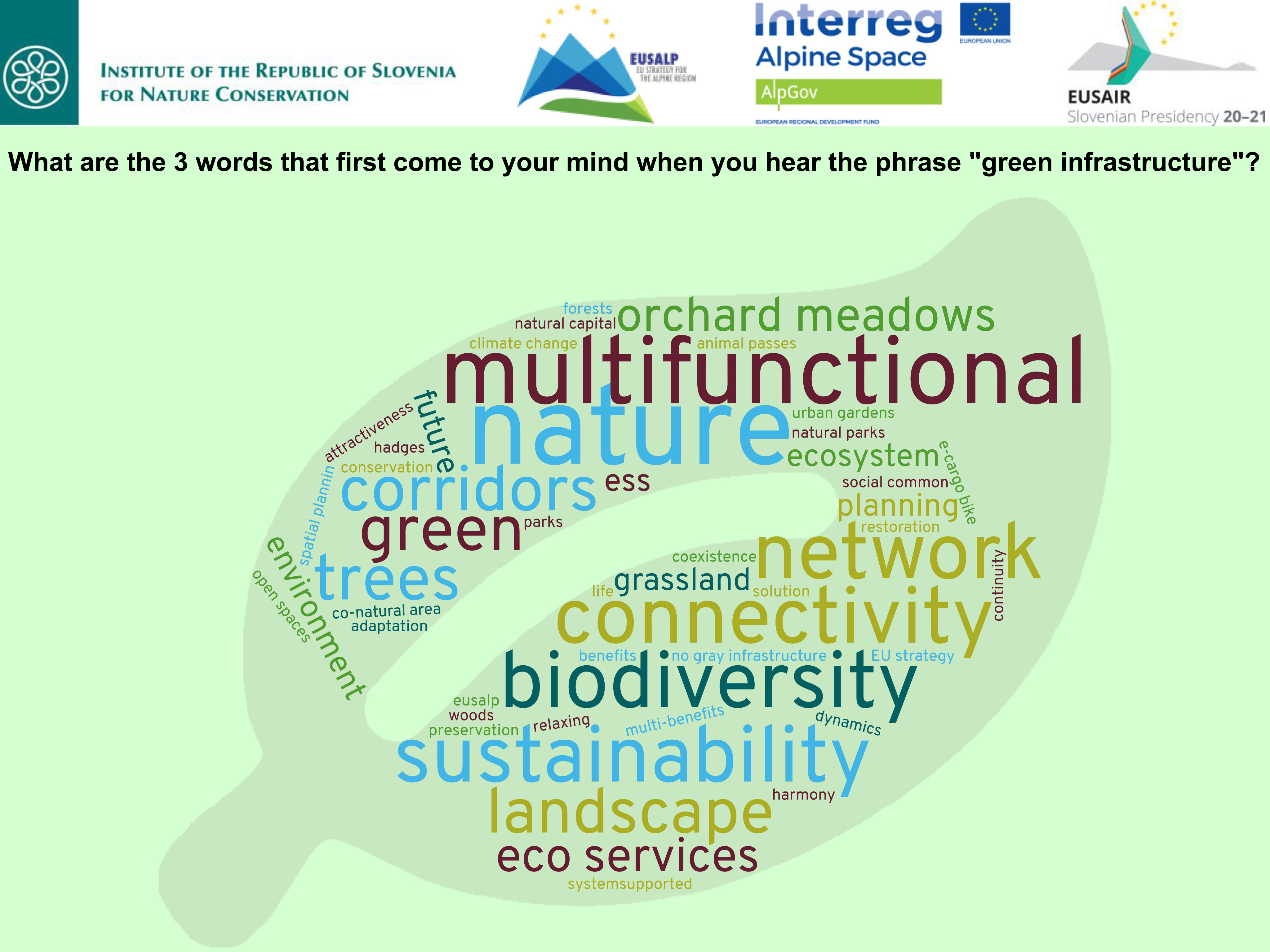 Green Infrastructure workshop - Word cloud