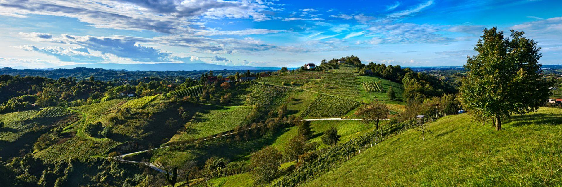 green infrastructure workshop